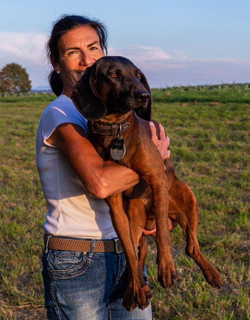Linda Spahlinger Anti-Jagdtraining Hund Dante