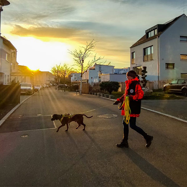 Mantrailing mit Hund in Esslingen