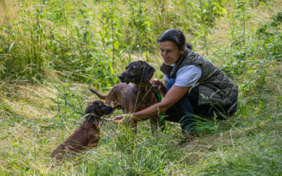 Jagd-Kontroll-Kurs I – 2 freitags – ausgebucht –