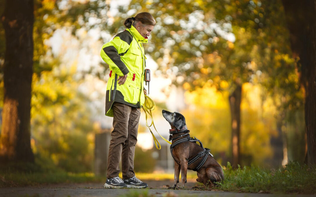 Mantrailingtage im Schwarzwald – ausgebucht