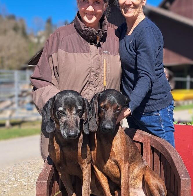 „Ach du Schreck!“ Seminar für geräuschempfindliche Hunde mit Christiane Rohn