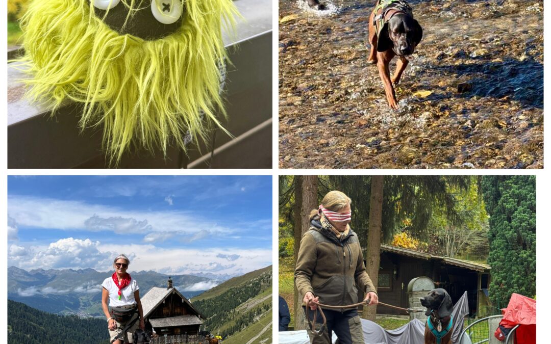 Neue Termine 2026: Trailwochen, Bergwochen, DogSense® – Spielewochen