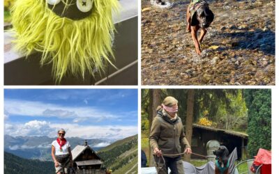 Neue Termine 2026: Trailwochen, Bergwochen, DogSense® – Spielewochen