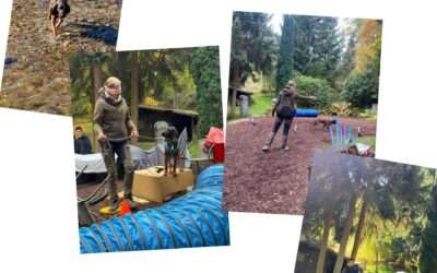 Januar-Kaleidoskop-Tage im Allgäu – jeden Tag etwas Neues – ausgebucht