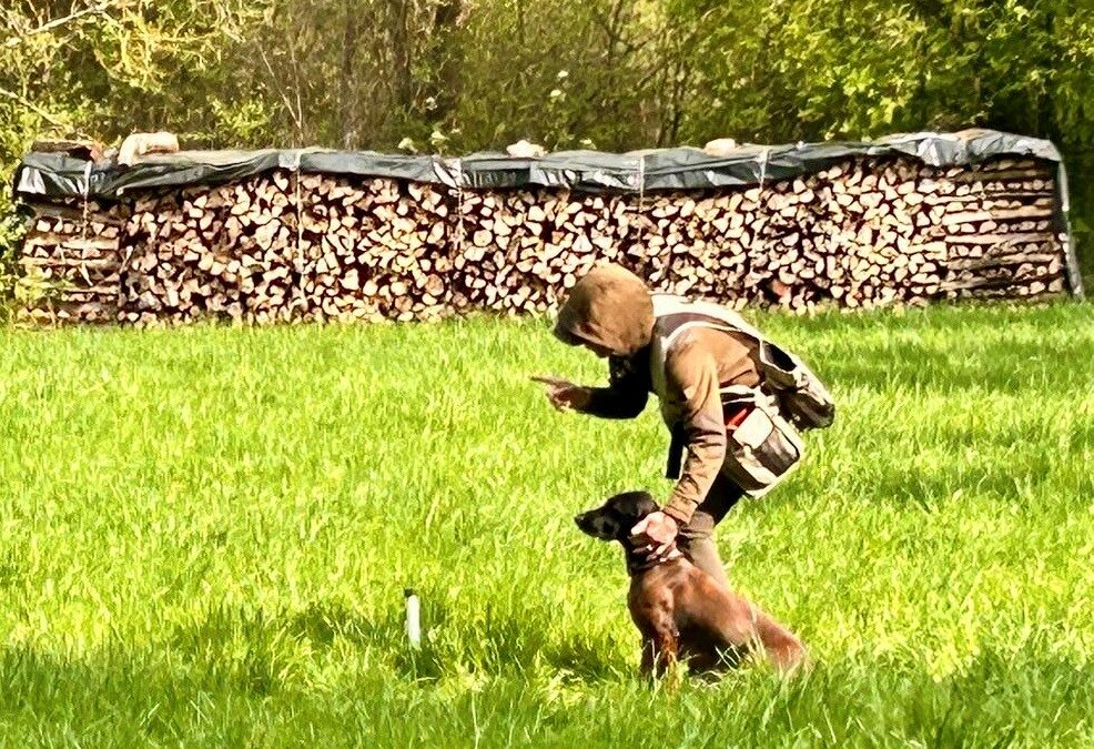 Dummyjäger Starter – ab 20. Juni – ausgebucht